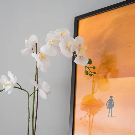 Daire Guestready - Lux Staycation In Boavista